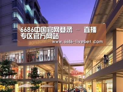 案例展示一