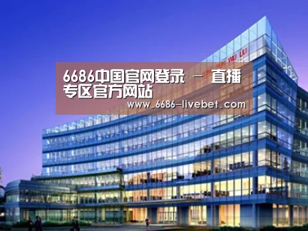 案例展示五