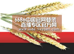 6686中国官网登录 - 直播专区官方网站