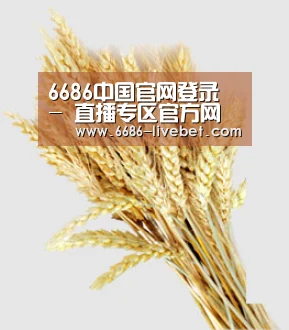 6686中国官网登录 - 直播专区官方网站