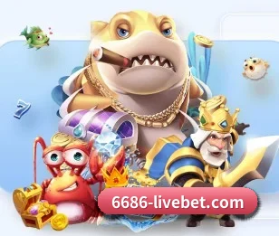 6686体育直播足球的故事
