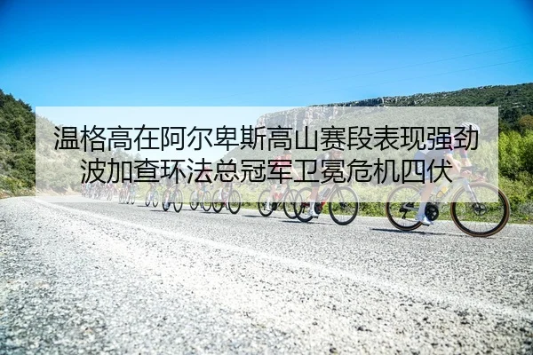 wen-ge-gao-zai-a-er-bei-si-gao-shan-sai-duan-biao-xian-qiang-jing-bo-jia-cha-huan-fa-zong-guan-jun-wei-mian-wei-ji-si-fu-2-179.jpg