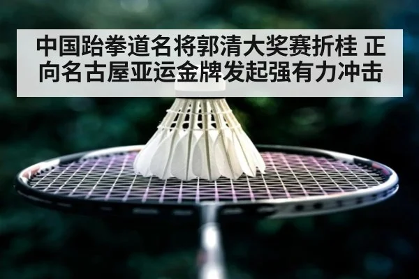 中国跆拳道名将郭清大奖赛折桂 正向名古屋亚运金牌发起强有力冲击