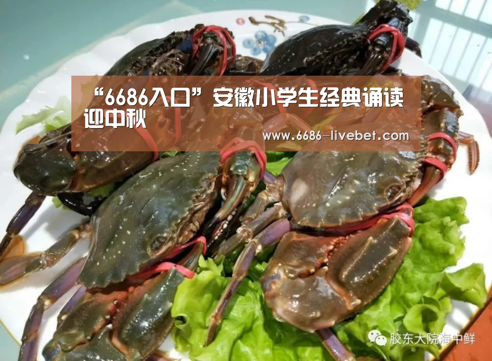 6686推荐